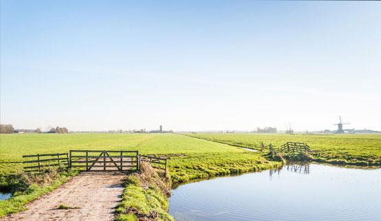 Vakantiehuis thema Huisje in de duinen